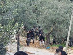 16 إصابة في هجوم للمستوطنين على برية المنية شرق بيت لحم