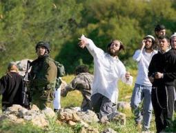 إصابات واعتداءات إرهابية من المستوطنين على أهالي مسافر يطا جنوب الخليل