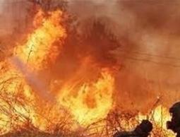 إخلاء مستوطنات وإغلاق طرق رئيسية بسبب حرائق ضخمة في القدس