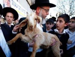 رابطة علماء فلسطين: إدخال مستوطنين قرباناً حيوانياً إلى الأقصى انتهاك صارخ وتطور خطير