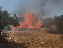 مستوطنون يحرقون المنازل ويعتدون على المواطنين في بلدة بروقين غرب سلفيت.