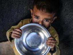 المدير التنفيذي للجنة الإنقاذ الدولية: الوضع الإنساني في غزة كارثي