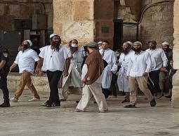 حماس: اقتحام المستوطنين للأقصى جريمة وانتهاك سافر لقدسية المسجد