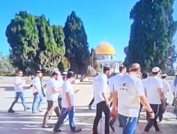 اقتحانات الأقصى