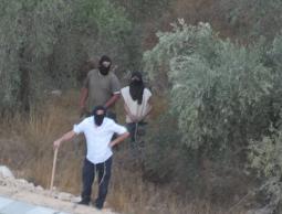 حماس: الاعتداء الإجرامي على المزارعين الفلسطينيين يكشف الوجه الحقيقي لفاشية الاحتلال