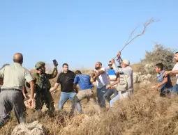 فتنة التلال تشتعل في الضفة: فتيان المستوطنات يهددون الأمن بعد تشجيع بن غفير