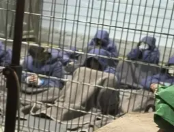 حماس تحذر من محاولة إعدام بطيء للأسرى القادة في سجون الاحتلال