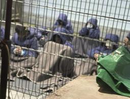 هيئة أممية تكشف التعذيب والعقاب الجماعي للمعتقلين الفلسطينيين