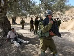 جرائم المستوطنين ترتفع 25% في الضفة الغربية خلال عام 2025