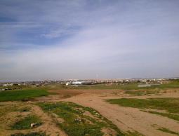 سلطة الأراضي في غزة: رسائل نصية أُرسلت بالخطأ نتيجة خلل فني في النظام