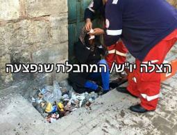 صورة الفتاة