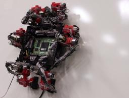  صورة للروبوت 