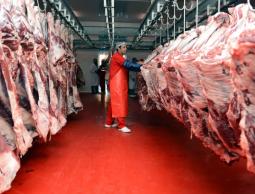 صورة من الارشيف