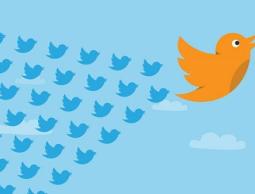 twitter-birds-flight-598x337