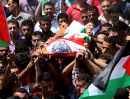 8 شهداء و370 مصابًا فلسطينيًا بيناير