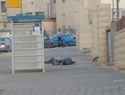 الشابان اللذان أعدمها الاحتلال في القدس