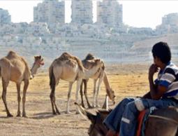 طفل فلسطيني من البدو ينظر إلى توسيع مستوطنة معاليه أدوميم على أراضي القدس 