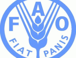 منظمة الفاو