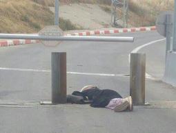 صورة من مكان الحدث