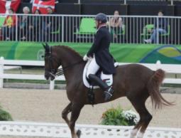 الفارس زميرمان