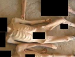 حالات تعذيب في السجون السورية