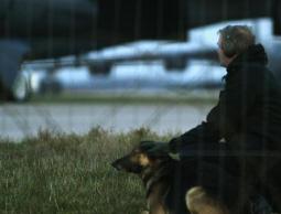 صورة من (الأرشيف)