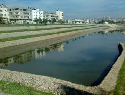 بركة الشيخ رضوان (الأرشيف)