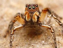 صورة من "الأرشيف"