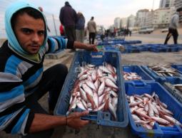 صياد يبيع السمك على شاطئ بحر غزة (الأرشيف)