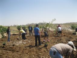 مواطنون يزرعون أراضي مهددة بالاستيطان (الأرشيف)