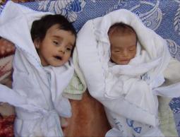 صورة من (الأرشيف)