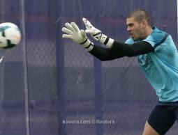 فيكتور فالديس