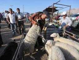 نصائح للتعامل مع أضحية العيد