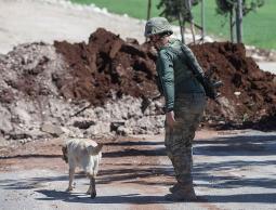 thumbs_b_c_bb1c942c2fe10099c86325c0c1fa1607