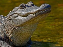 54f70d18611e9b9b518b4595