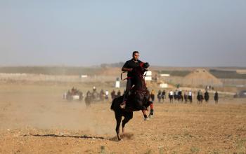 فلسطينيون يستعرضون مهاراتهم في ركوب الخيل بين قطاع غزة والأراضي المحتلة عام 1948