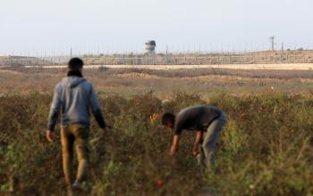 مزارعون فلسطينيون يعملون بالقرب من الجدار الأمني على حدود قطاع غزة، رغم حالة التوتر الأمني في خانيونس