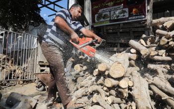 جمع الحطب لبيعه وإنتاج الفحم استعداداً لفصل الشتاء