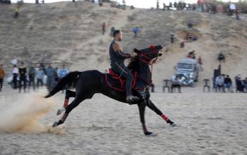 فلسطينيون يشاركون في عرض للخيل في مدينة خان يونس جنوب قطاع غزة