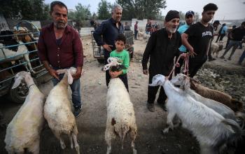 (سوق الحلال) في مدينة غزة قبيل عيد الأضحى المبارك