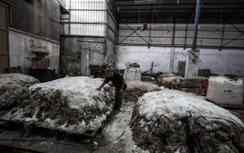 دباغة جلد الأضاحي في غزة.