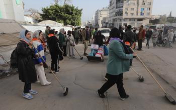 أعمال كنس للشارع مقابل منتزه بلدية غزة وزراعة أشتال في منتزه البلدية