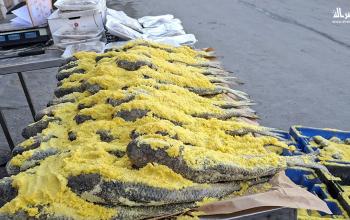 عودة الفسيخ إلى موائد غزة بعد غياب عامين رغم الغلاء وصعوبة الأوضاع