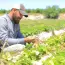 مبادرة يوسف وعمرو.. محاولة لإعادة الحياة الزراعية إلى شمال غزة