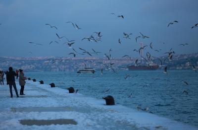 260122_Istanbul_SHA_00 (20).jpg