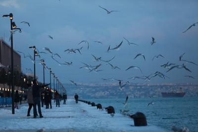 260122_Istanbul_SHA_00 (21).jpg