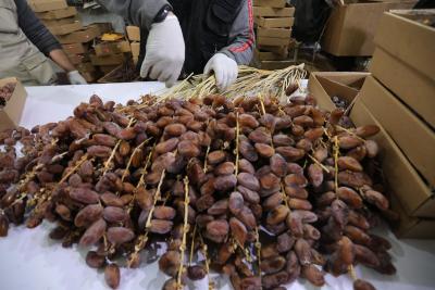 220322_GAZA_ASH_00 (56).jpg