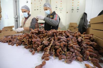 220322_GAZA_ASH_00 (53).jpg