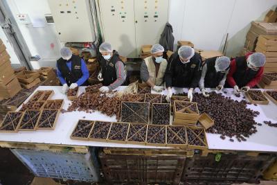 220322_GAZA_ASH_00 (63).jpg