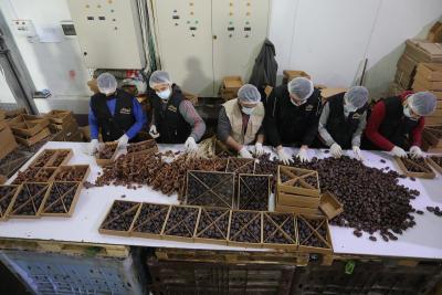 220322_GAZA_ASH_00 (62).jpg